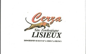 Cerza