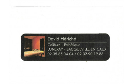 David Heriché