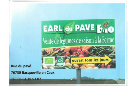 Earl du pavé bio