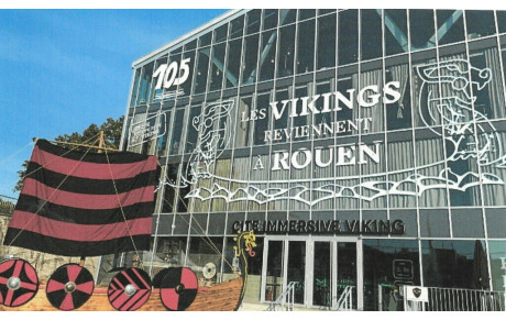 cite immersive viking